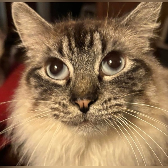 Welcome! - Picture 12 of 16